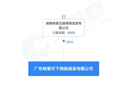 企業(yè)形象策劃 構筑品牌靈魂與市場競爭力的核心工程